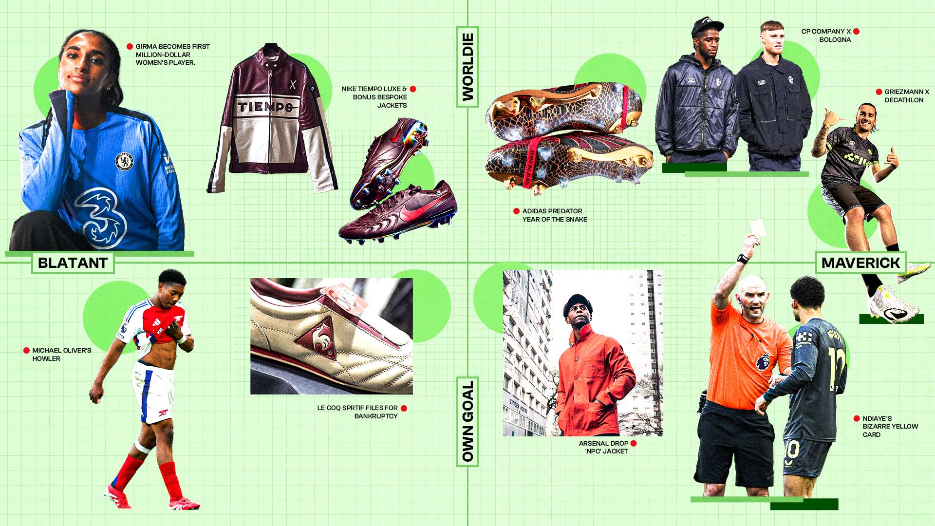 摩洛哥刺头 摩洛哥刺头